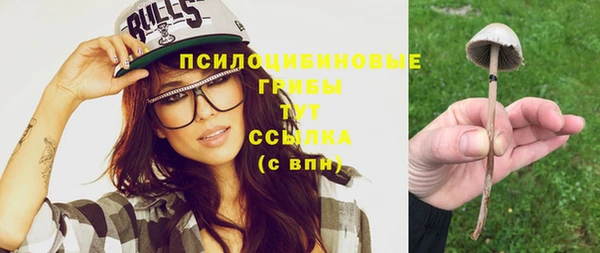 мет Нея